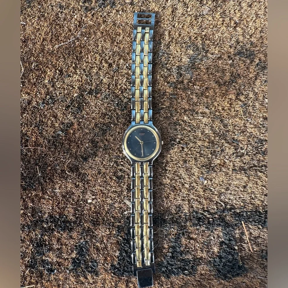 Citizen Two-Tone Metal Watch